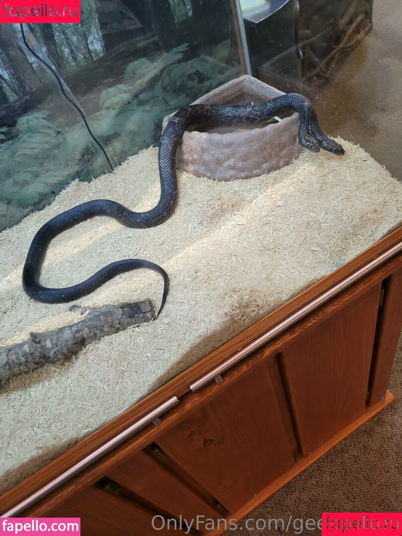 geekikitten / geekykittenxo Onlyfans Photo Gallery 