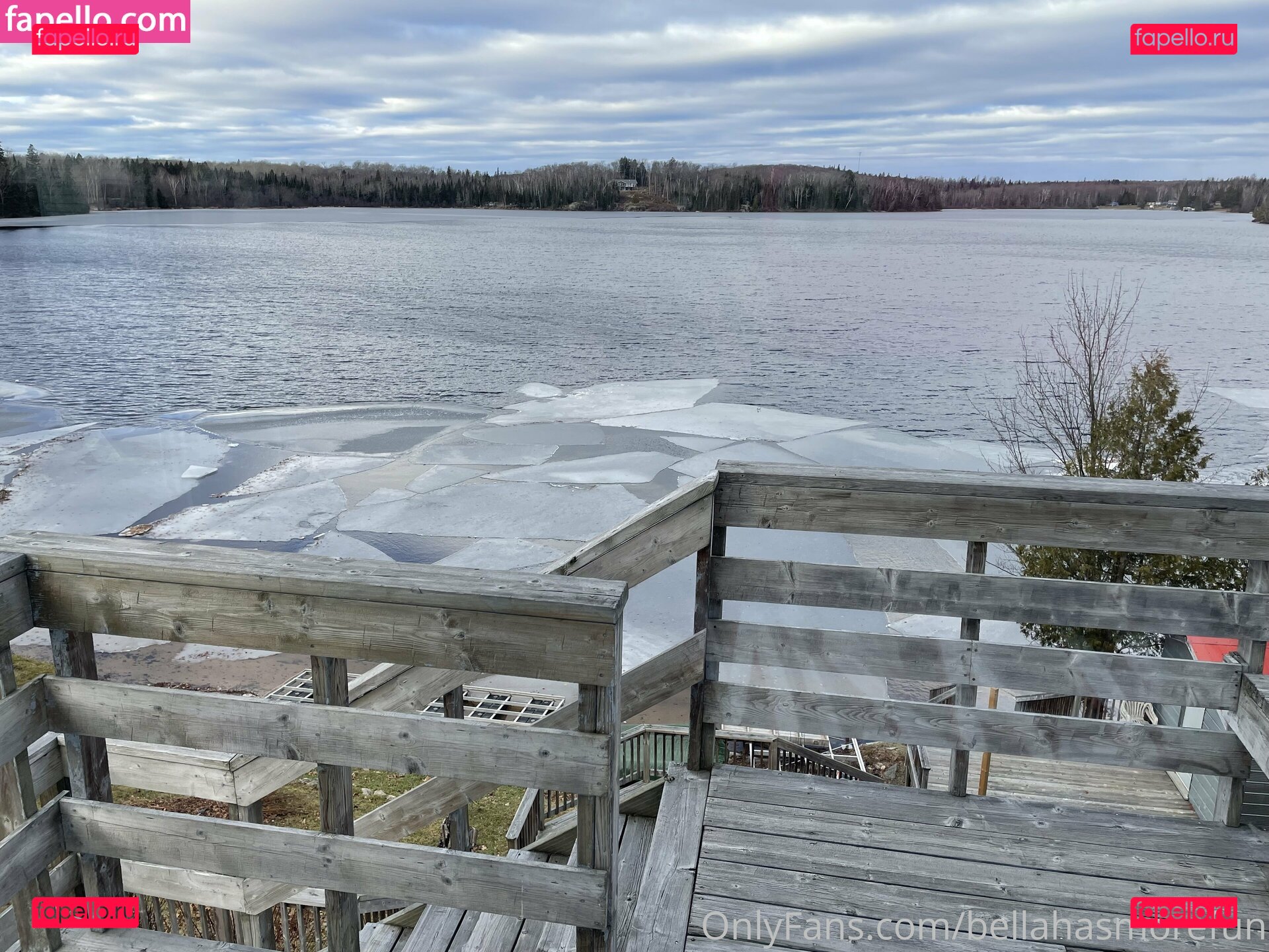 bellahasmorefun / https: Onlyfans Photo Gallery 