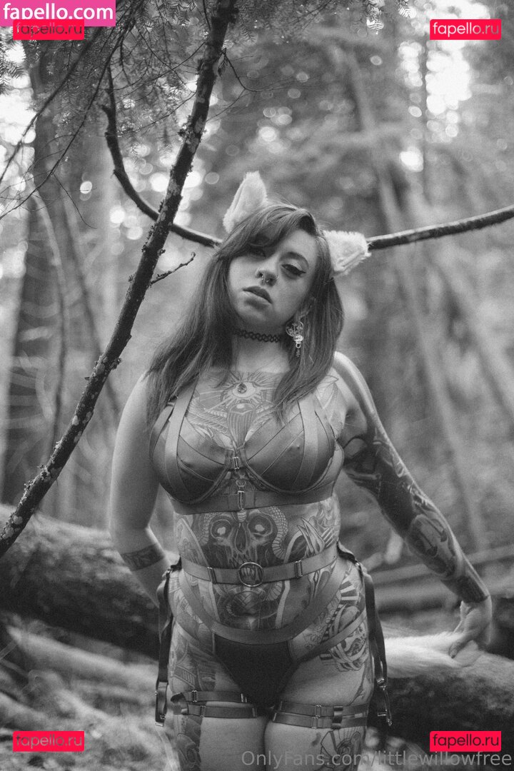 littlewillowfree / thelittlewillow_ Onlyfans Photo Gallery 