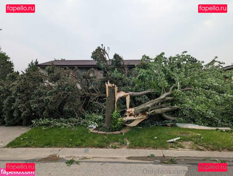 https: / ifbb_pro_yeo / musclegeisha Onlyfans Photo Gallery 