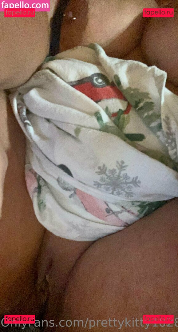 prettykitty1028 Onlyfans Photo Gallery 