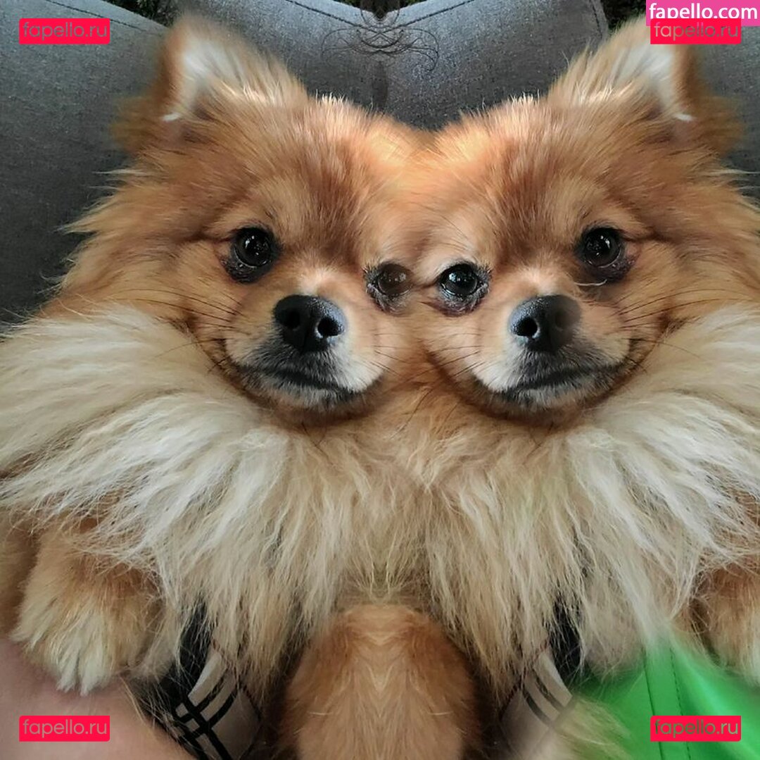 Charlie Dee / charlieDDee Onlyfans Photo Gallery 