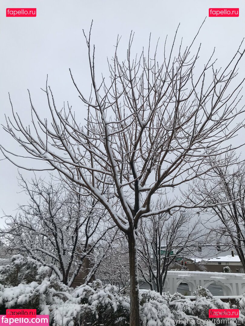 tomiko1 / tomiko_1 Onlyfans Photo Gallery 