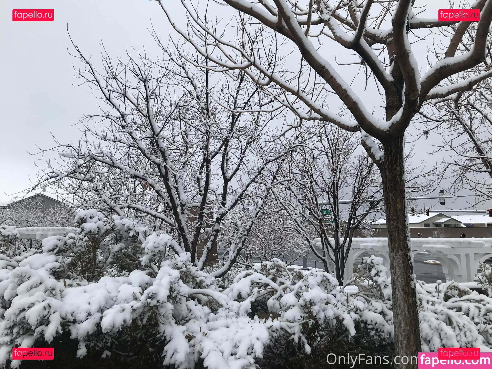 tomiko1 / tomiko_1 Onlyfans Photo Gallery 