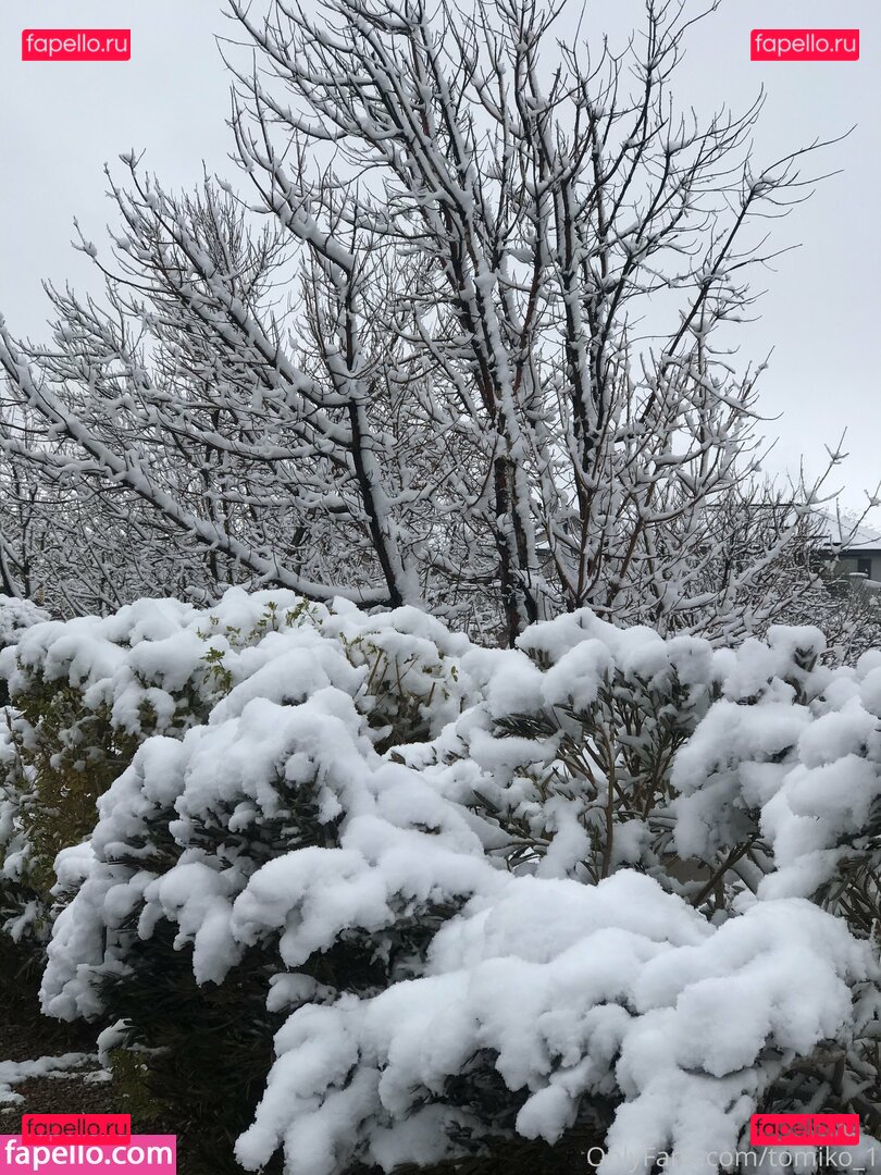 tomiko1 / tomiko_1 Onlyfans Photo Gallery 