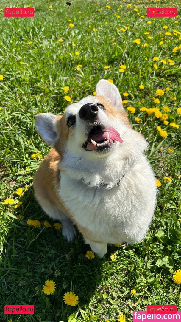 sport_inna Onlyfans Photo Gallery 