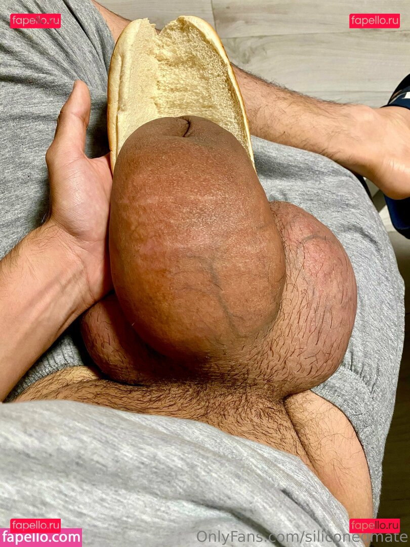 siliconedmate Onlyfans Photo Gallery 