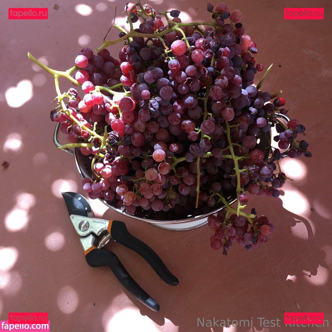 kelly.nakatomi / kellynakatomi Onlyfans Photo Gallery 