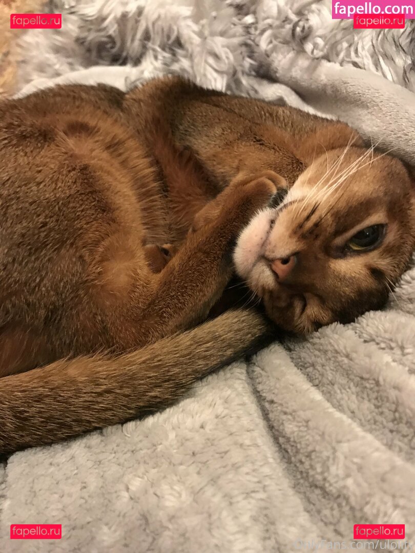 ulolity Onlyfans Photo Gallery 