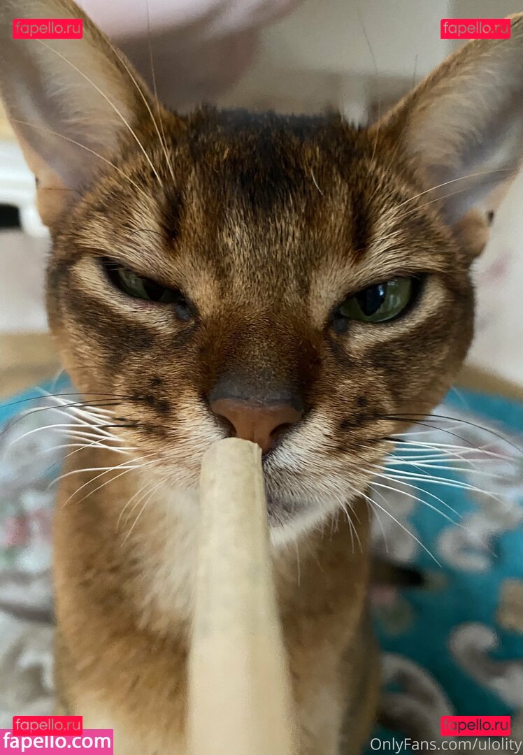 ulolity Onlyfans Photo Gallery 