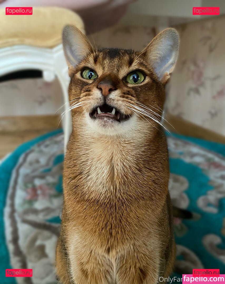 ulolity Onlyfans Photo Gallery 