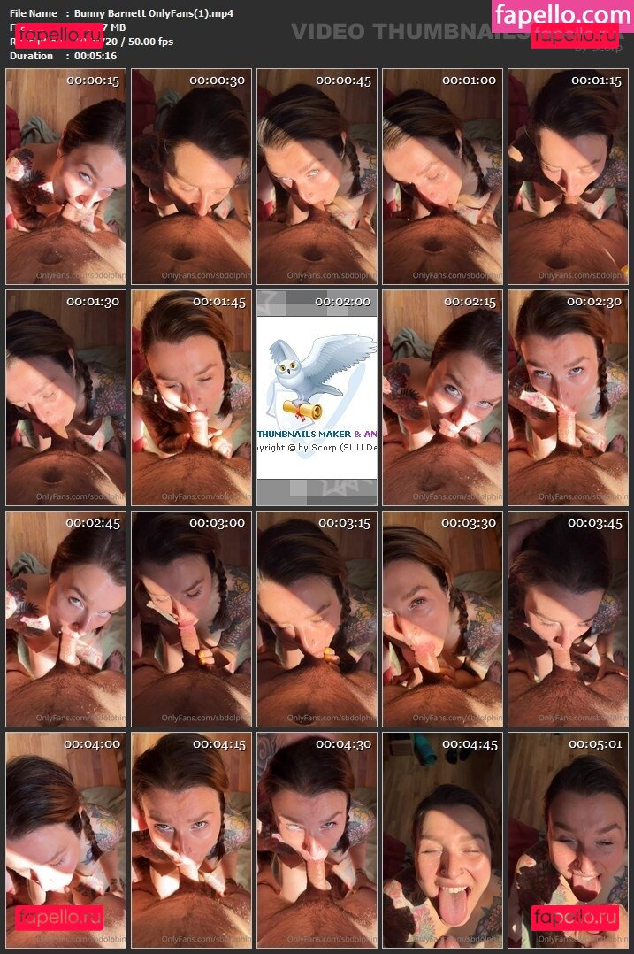 Bunny Barnett / thedolphingirl / bunnybarnett Onlyfans Photo Gallery 