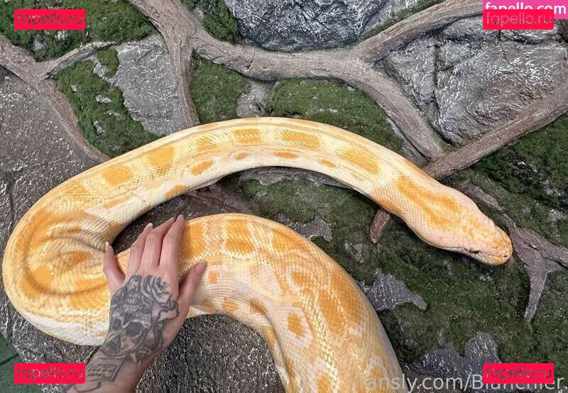 Theimpartialbunny / impartial_bunny Onlyfans Photo Gallery 