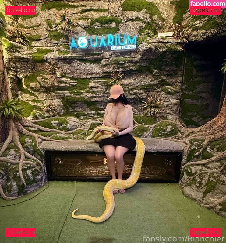 Theimpartialbunny / impartial_bunny Onlyfans Photo Gallery 