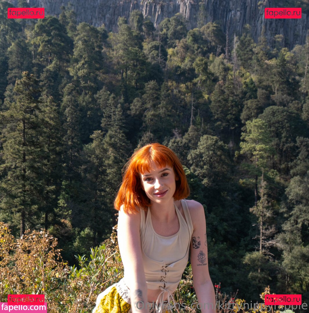 kittynippyhippie / littlenippyhippie Onlyfans Photo Gallery 