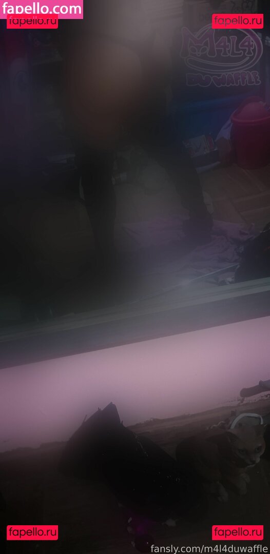 m4l4duwaffle Onlyfans Photo Gallery 