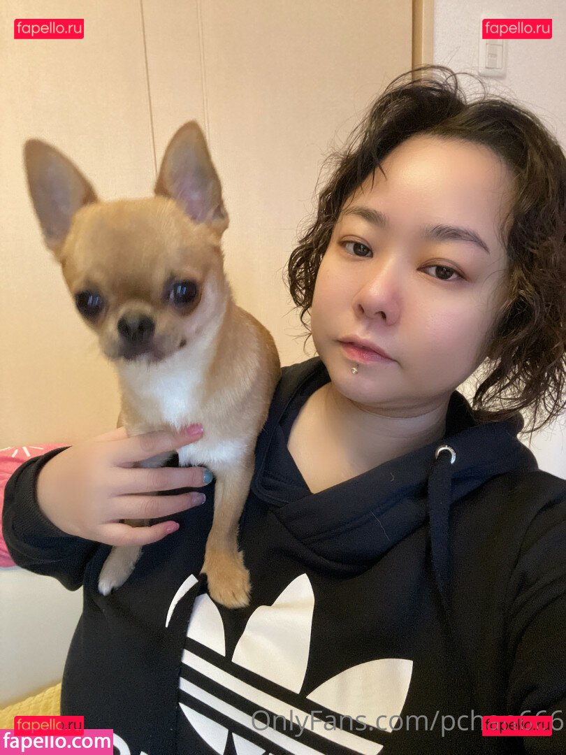 Pchan 666 / pchan030 / pchan666 Onlyfans Photo Gallery 