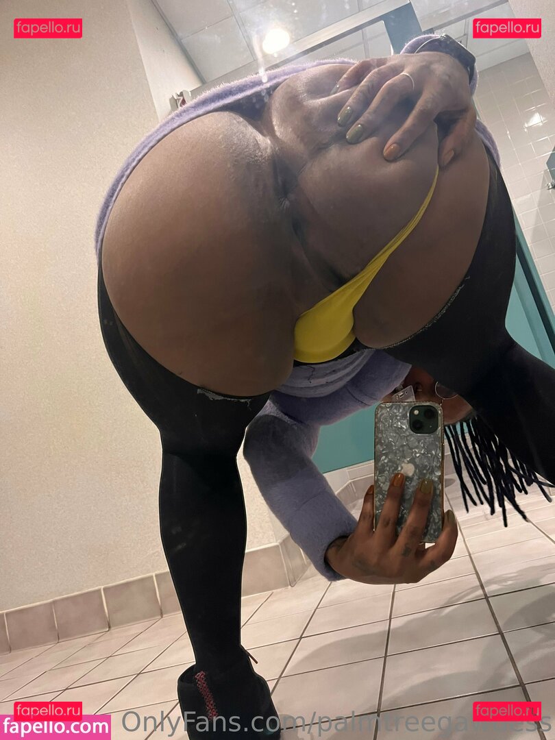 palmtreegawdess Onlyfans Photo Gallery 