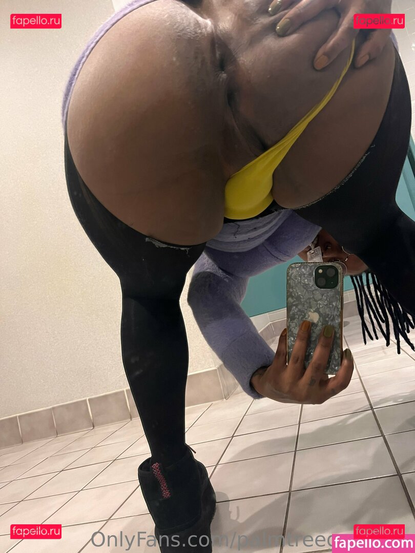 palmtreegawdess Onlyfans Photo Gallery 