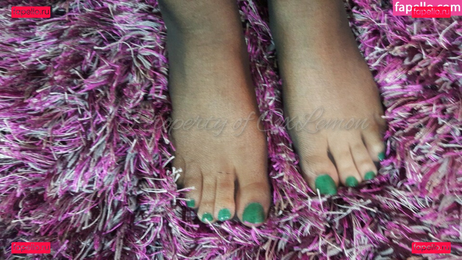 Oxlemon / https: / oxlemon.zestxo Onlyfans Photo Gallery 