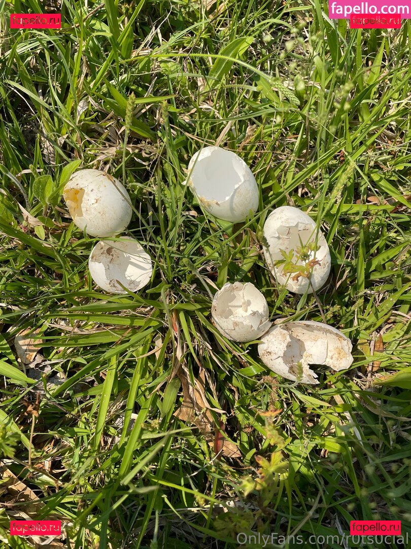 r0ts0cial Onlyfans Photo Gallery 