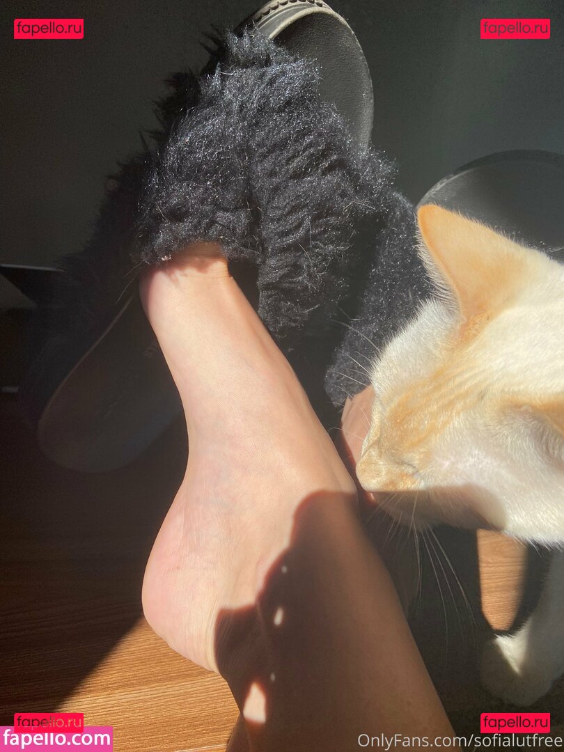 sofialutfree / sofiluttero Onlyfans Photo Gallery 