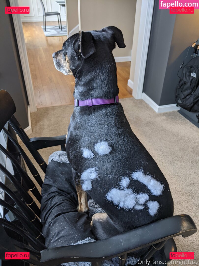 gutchan / gutfuzz Onlyfans Photo Gallery 