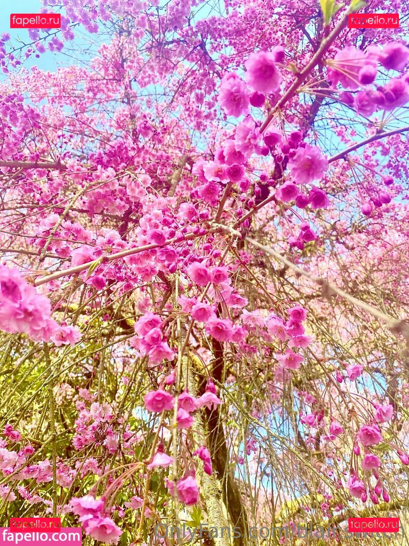 Blair_switch / blair.switch Onlyfans Photo Gallery 