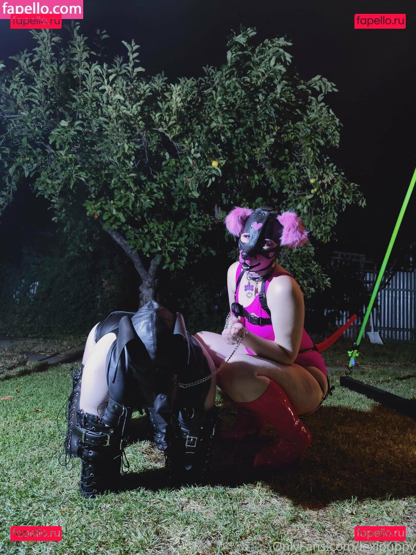 lexi__puppy / lexipuppy Onlyfans Photo Gallery 