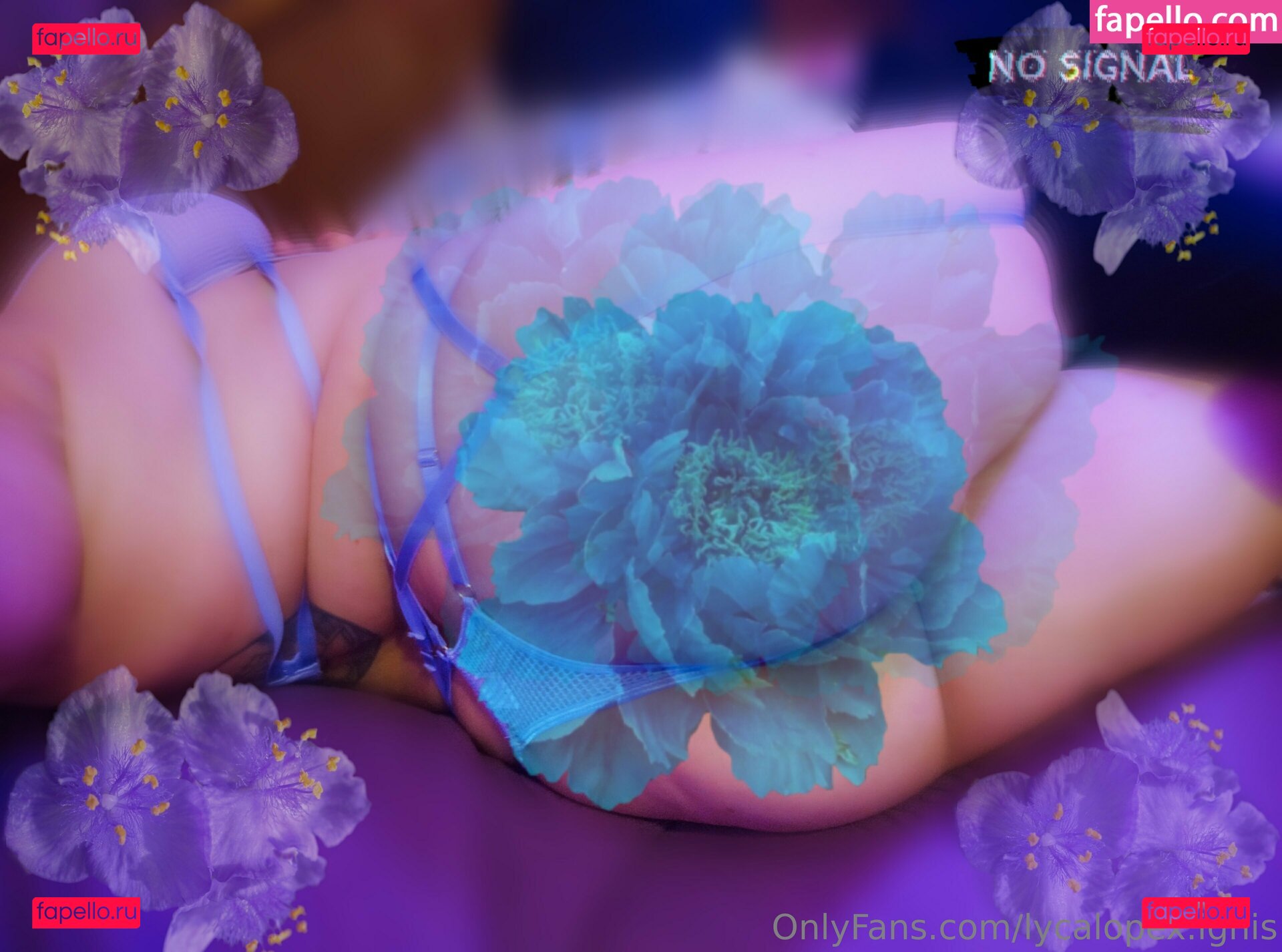 bluehellspawn / lycalopex.ignis Onlyfans Photo Gallery 