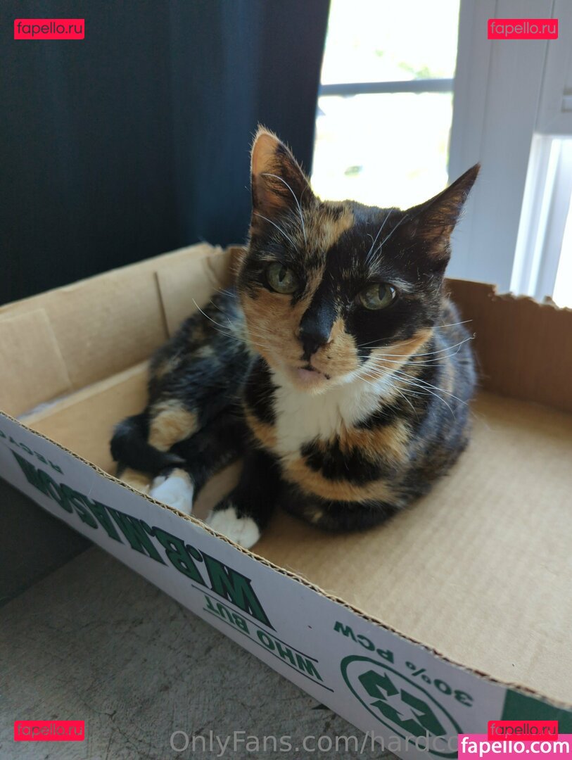 hardcore_holly / hardcoreholly13 Onlyfans Photo Gallery 