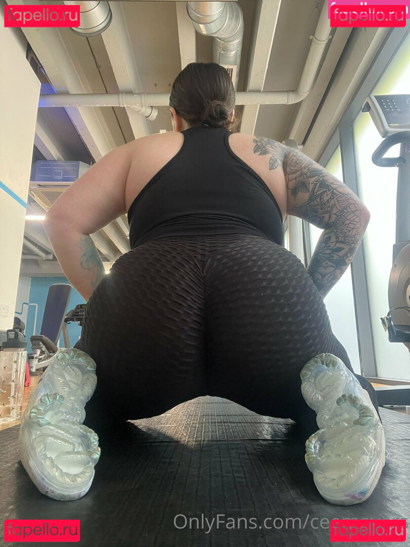 Ceemayers / ceemeyer Onlyfans Photo Gallery 