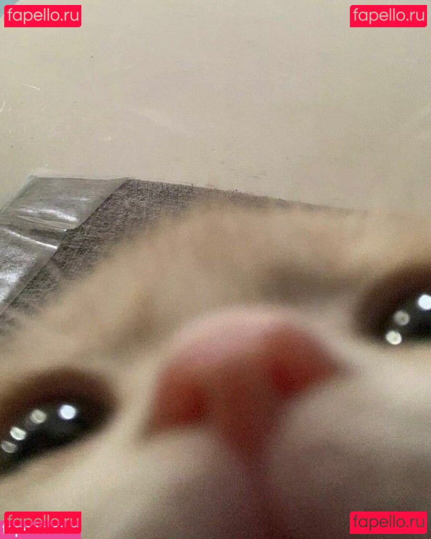 femboy_uk / femboyuk1 / https: Onlyfans Photo Gallery 