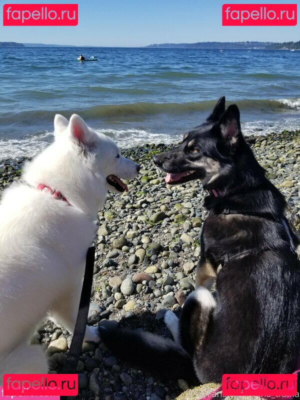 raina_traina / rainatraina Onlyfans Photo Gallery 