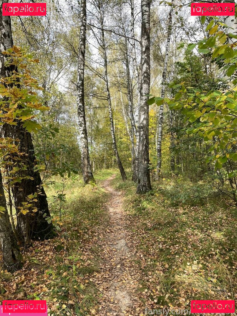 Neyrodesu / neyro_desu Onlyfans Photo Gallery 