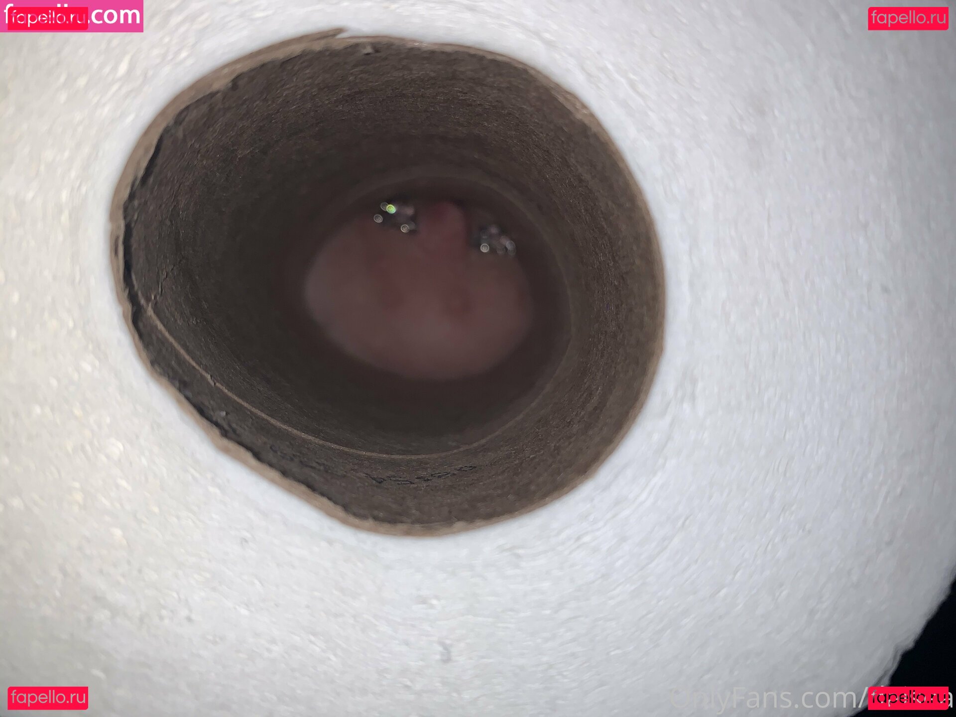 daisea / daisea___ Onlyfans Photo Gallery 