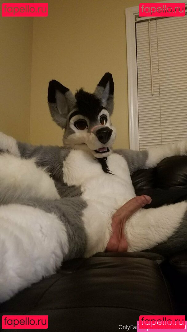 silverglade.eventing.team / stallionwolf Onlyfans Photo Gallery 