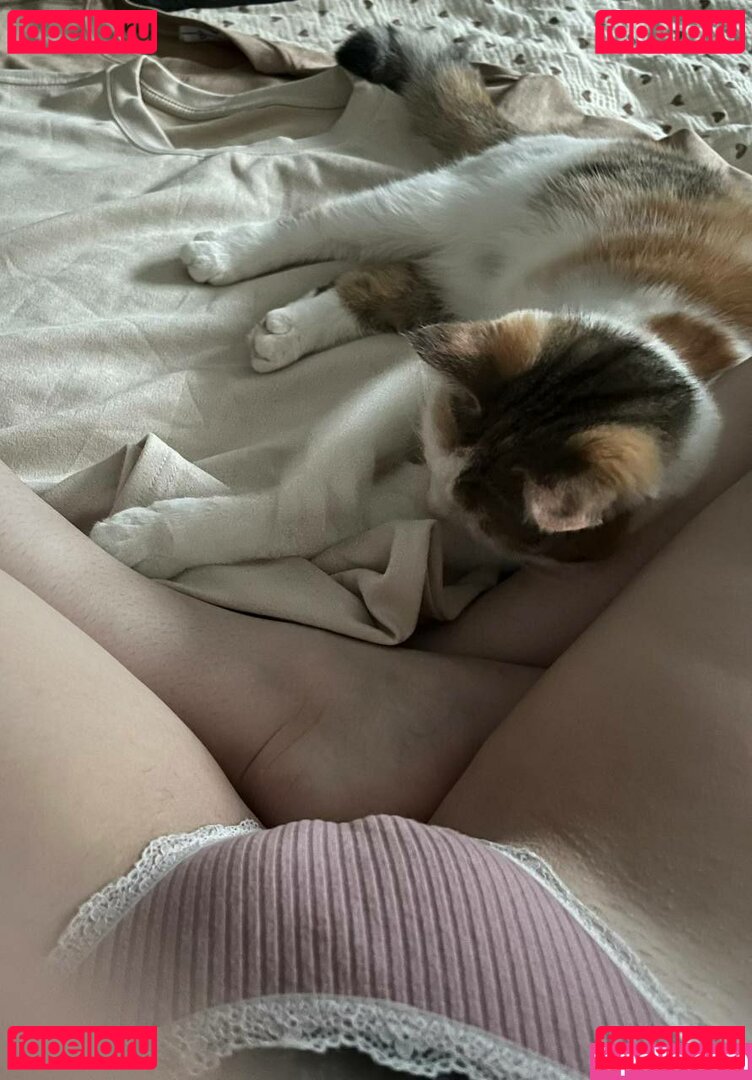 Aorta / aortacoop / https: Onlyfans Photo Gallery 