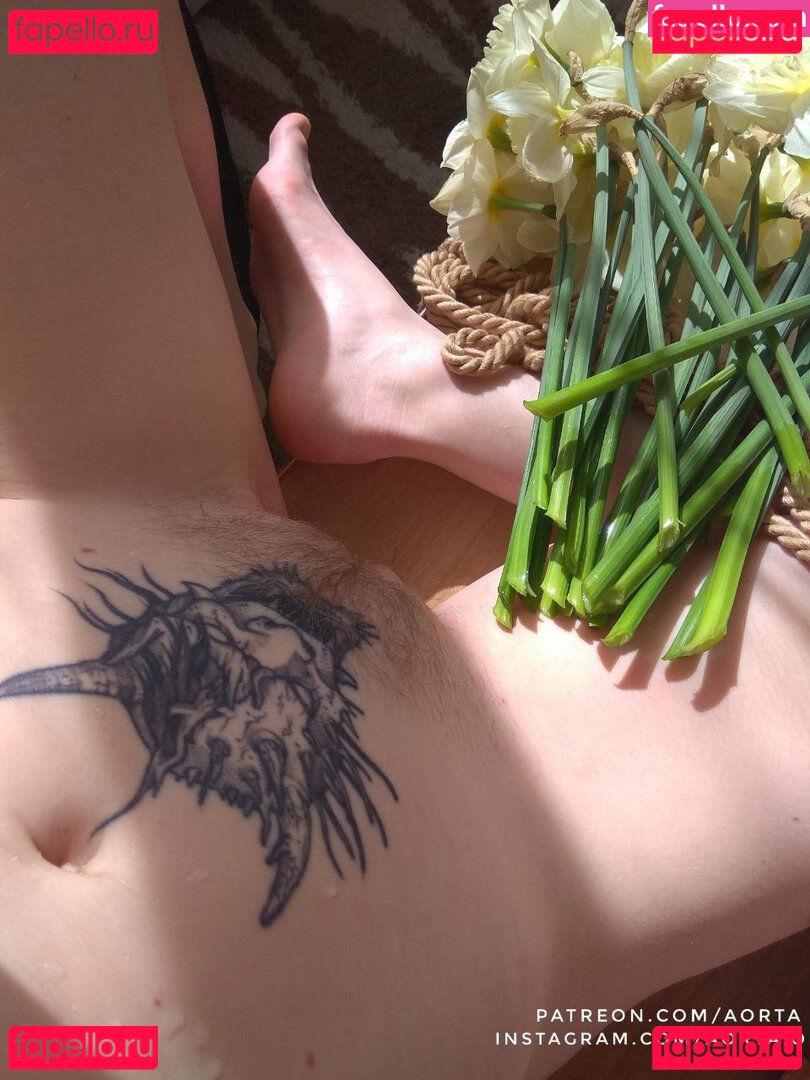 Aorta / aortacoop / https: Onlyfans Photo Gallery 