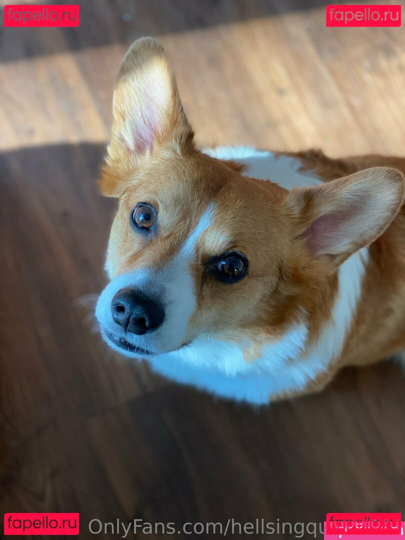 6uckles / hellsingqueen666 Onlyfans Photo Gallery 