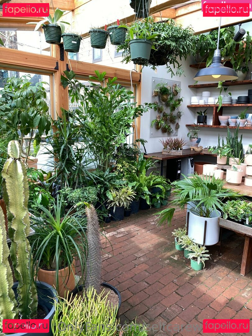 _selfcarewithchloe / selfcarewithchloe Onlyfans Photo Gallery 