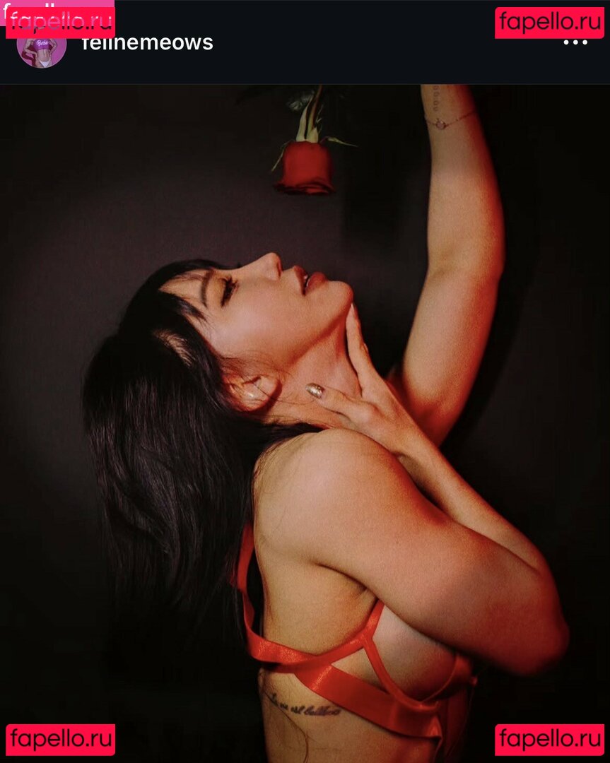 felinemeows Onlyfans Photo Gallery 