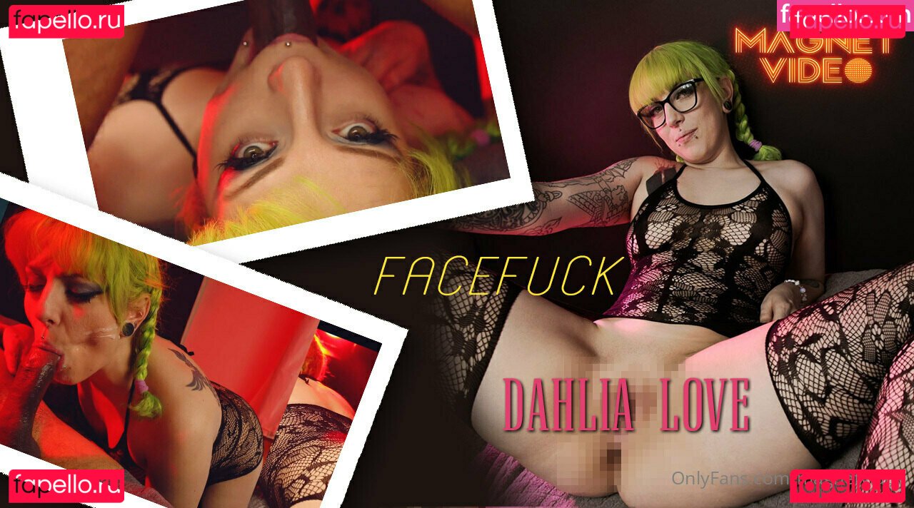 magnetvideo / magnetvideopdx Onlyfans Photo Gallery 