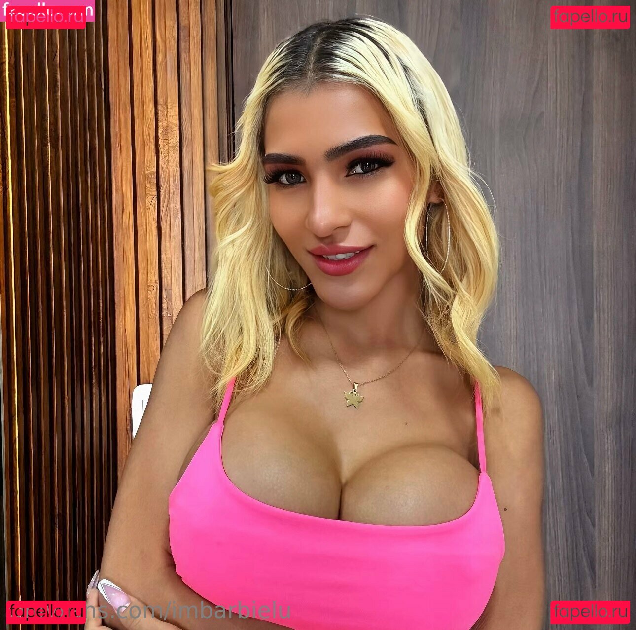 Iambarbielu / imbarbielu Onlyfans Photo Gallery 