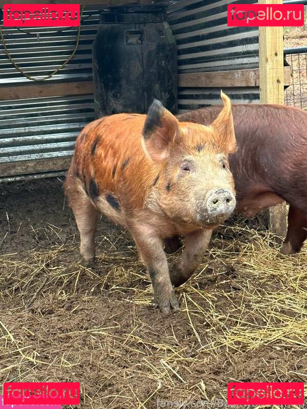 BackwoodsEmm / assets / https: Onlyfans Photo Gallery 