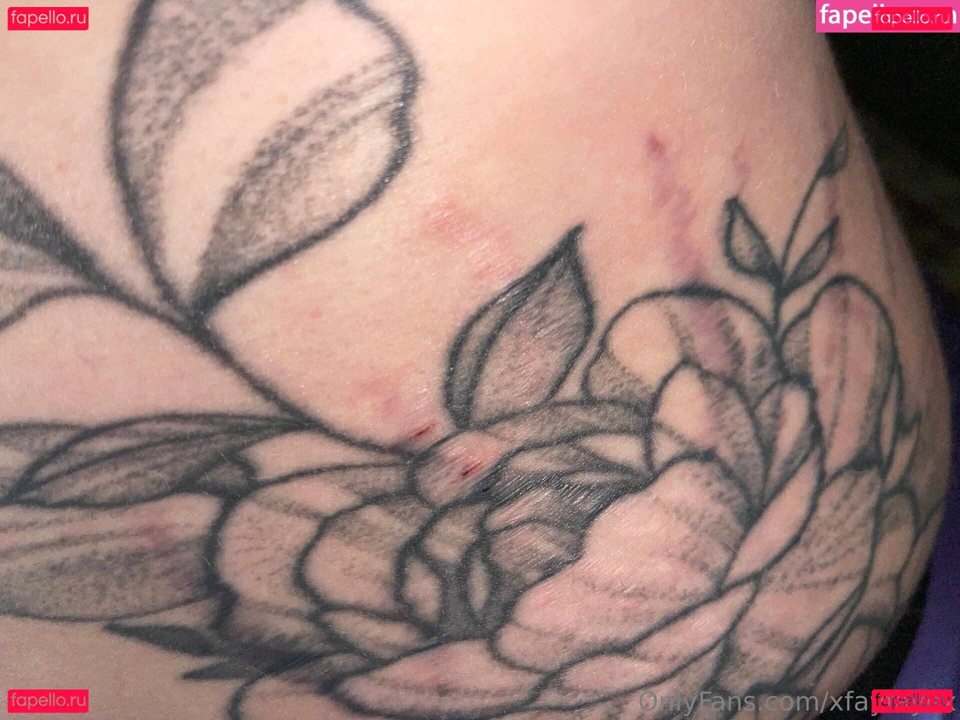 xfayfayex Onlyfans Photo Gallery 