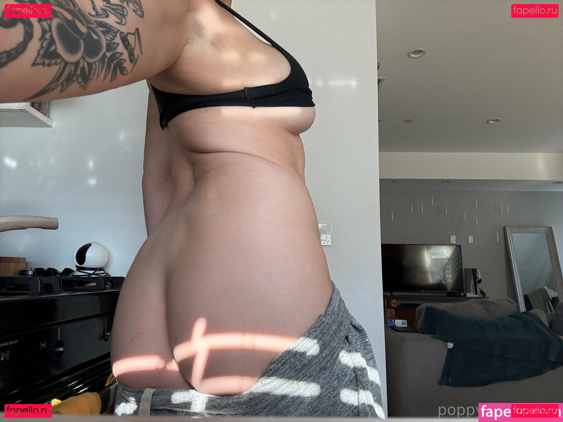 poppyalexander / poppyalexanderbooks Onlyfans Photo Gallery 