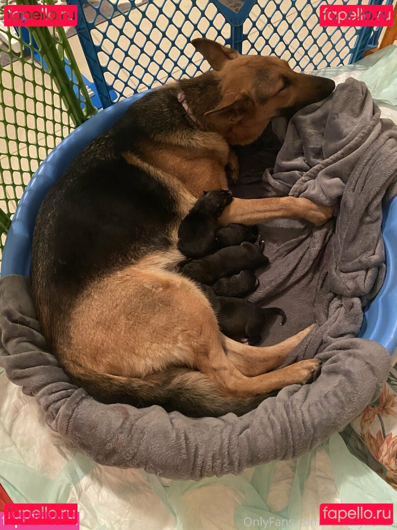 lilly___hall / reallillyhallxx Onlyfans Photo Gallery 