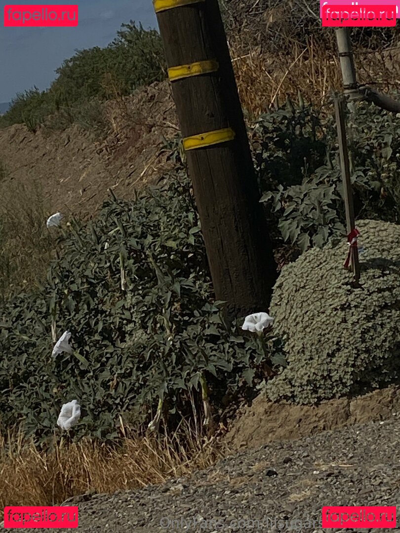 lilsugarsweetartist Onlyfans Photo Gallery 