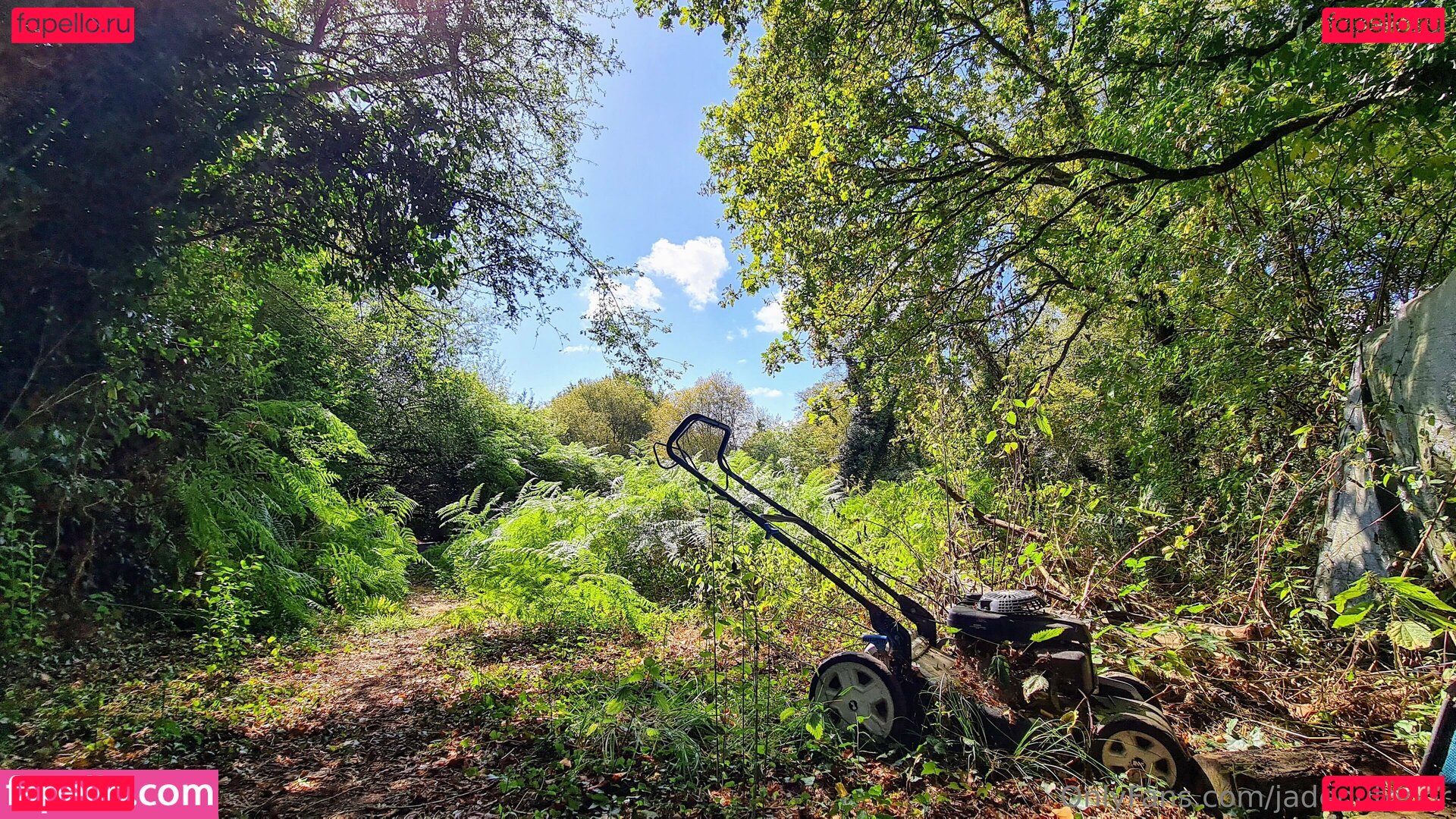 jade_outdoor / jadeoutdoor Onlyfans Photo Gallery 